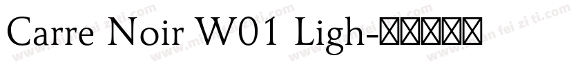 Carre Noir W01 Ligh字体转换